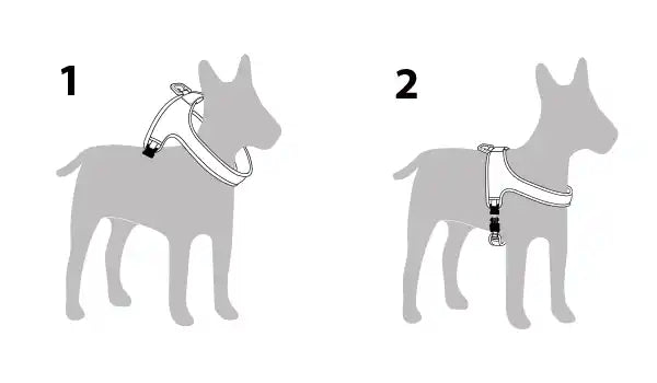 Charlie s Backyard Town Dog Harness MiAmore Pets