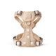 The NoMad Adjustable Luxe Dog Harness