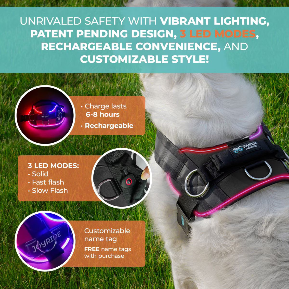 joyride led dog harness features