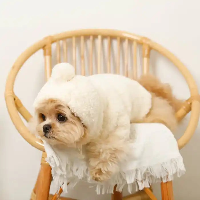 moncheri ivory pompom dog hoodie with dog on chair