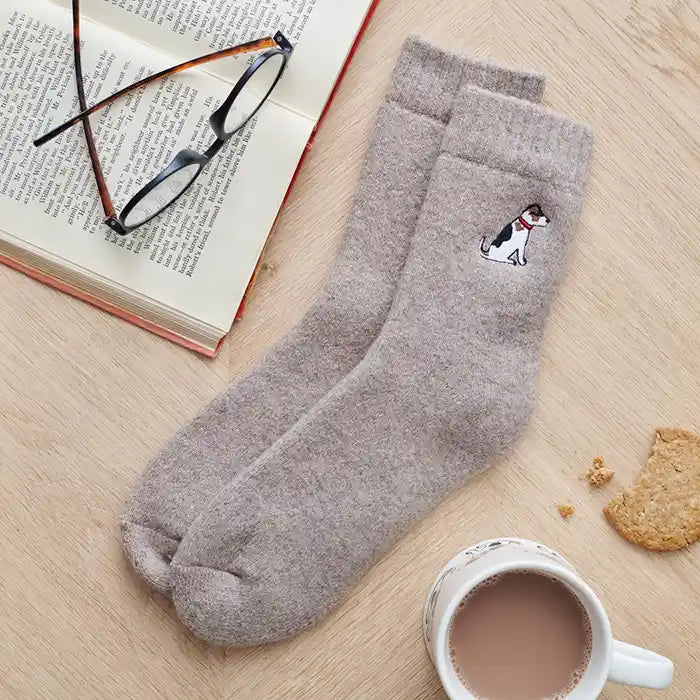 jack russell dog walking socks