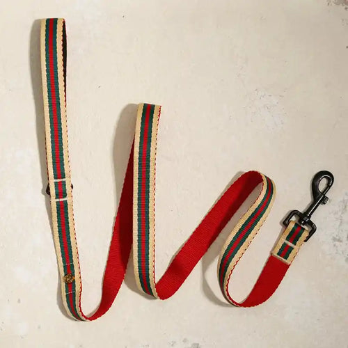 Red and green striped dog leash with a black clip on a light background