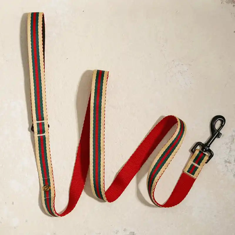 Red and green striped dog leash with a black clip on a light background