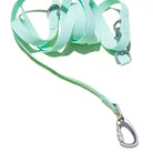 minty green jelly leash