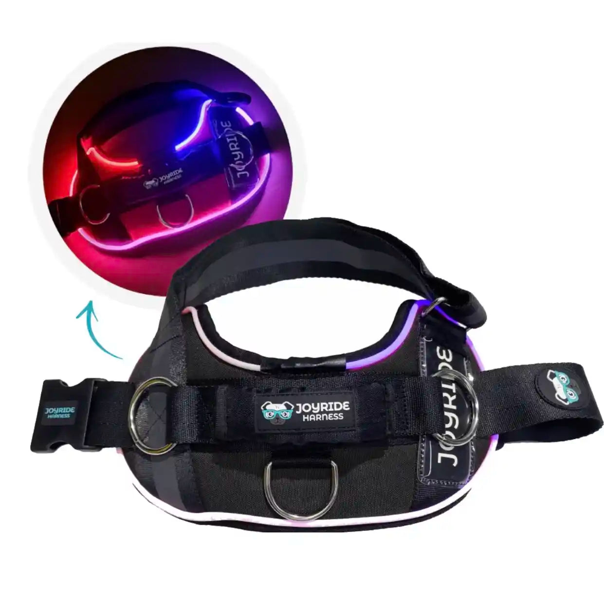 joyride Black dog harness with LED light feature on a white background