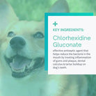 key ingredient of dental wipes