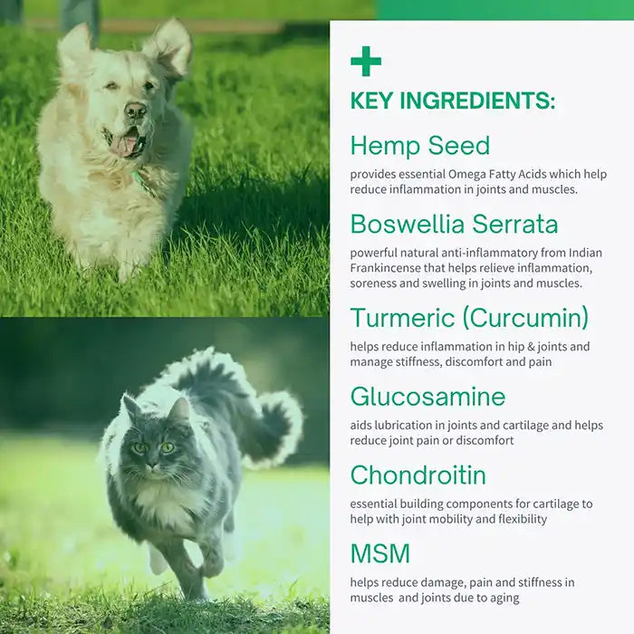 key ingredients for hip & joint chews