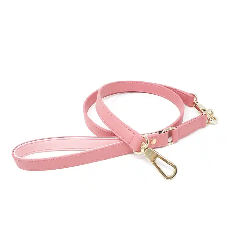 Pink dog leash with gold clip on a white background