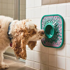 Dog licking green lick mat stuck to wall.