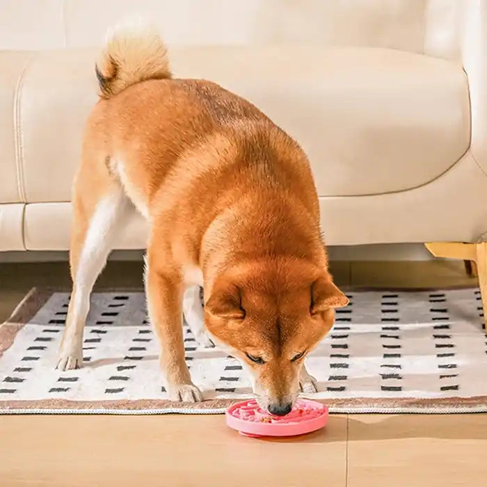 shiba inu licking mat