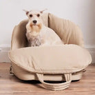 lola pet carrier and car seat with dog