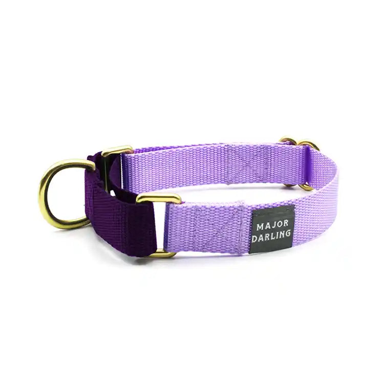 lavender martingale collar