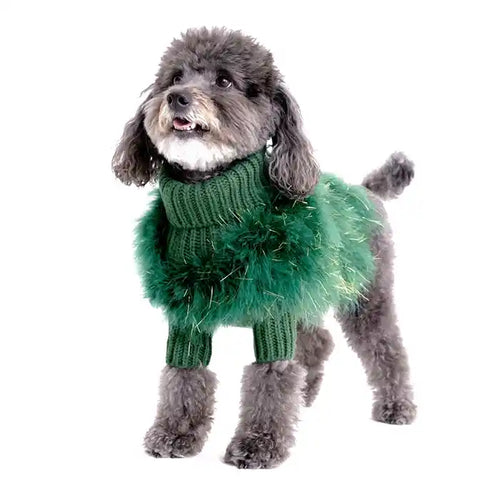 Grey Poodle wearing Christian Cowan x MB Glitz Jumper in Green