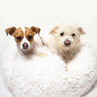 MB Pod Dog Bed with 2 dogs