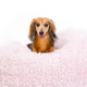 A pink, fluffy dog bed made of recycled fiber, designed to feel like a cloud.