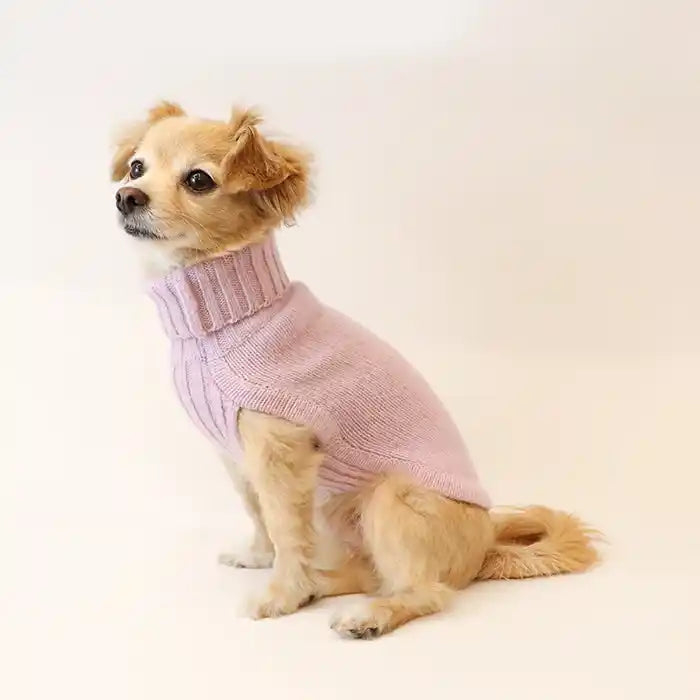 dog modeling LCB lavender merino wool dog sweater 