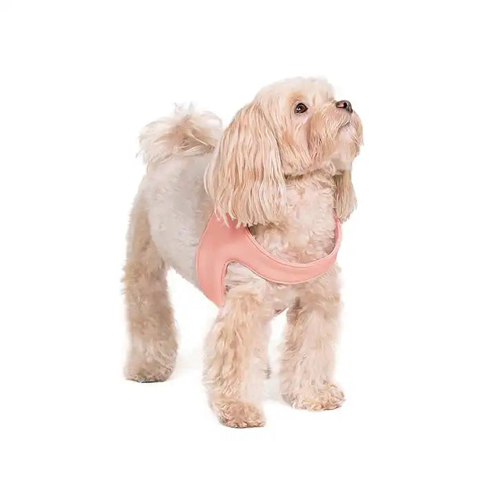 Pink Dog Harness