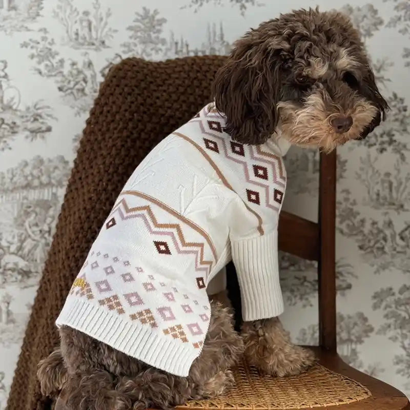 Dog wearing a cream fair isle sweater sitting on a chair with a toile wallpaper background