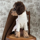 Dog wearing a cream fair isle sweater sitting on a wooden chair with toile wallpaper in the background