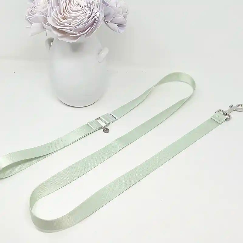 amore mint dog leash styled 