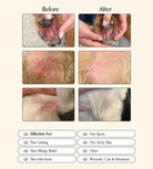 Before and after comparison of a pet's ear and skin conditions with text indicating product effectiveness.