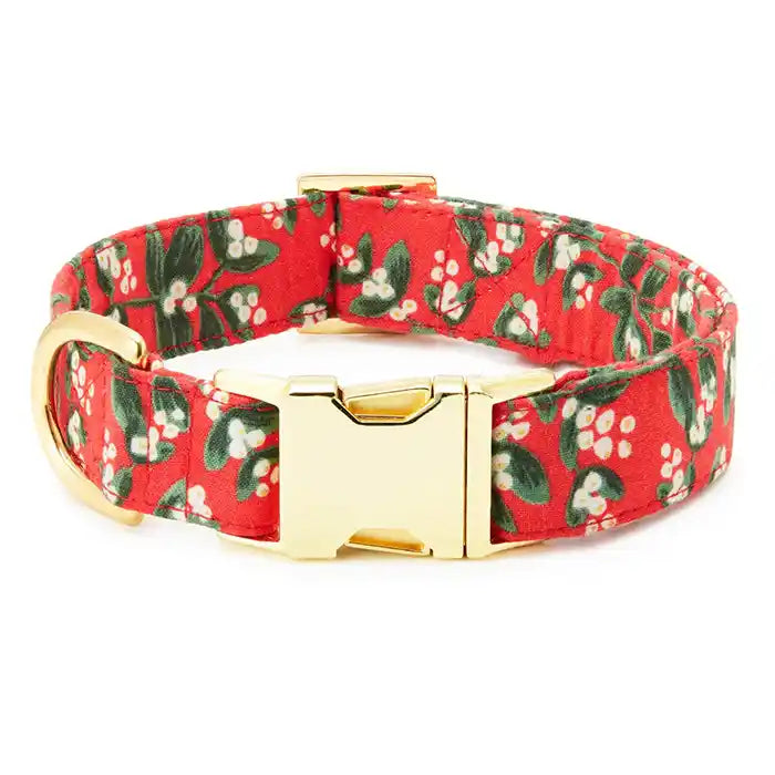 foggy dog mistletoe collar