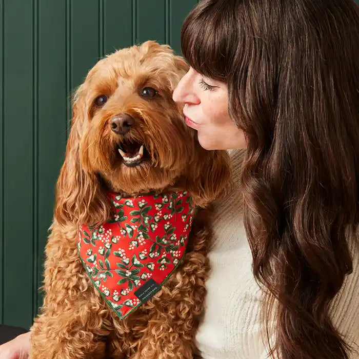 foggy dog mistletoe bandana styled