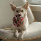 White dog holding plaid flannel snuffle ball
