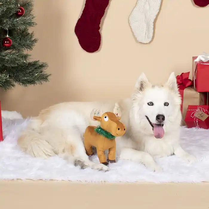 Chris-Moose Plush Dog Toy with Dog