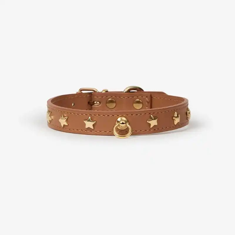 camel leather star studded dog collar