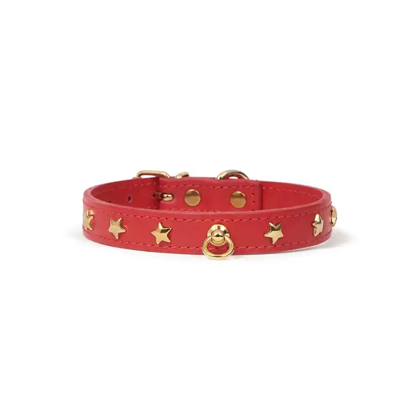 red leather star studded dog collar