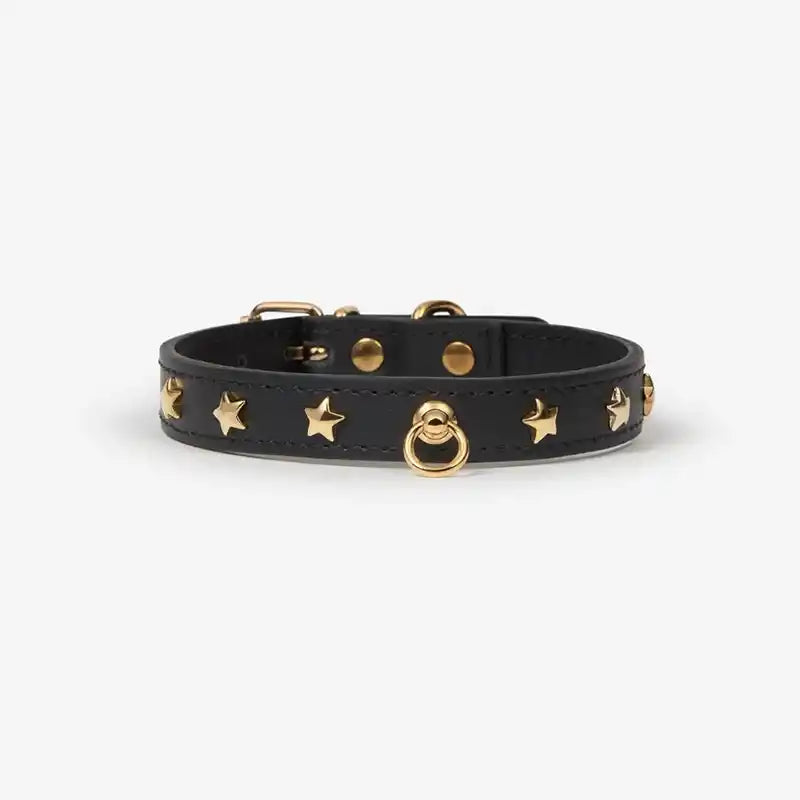 black leather star studded dog collar