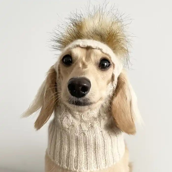 cashmere pom pom dog hat dachsund part2