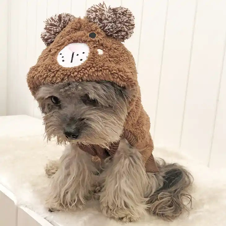 dog wearing bear hoodie