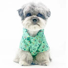 dog wearing worthy dog golf shirt 