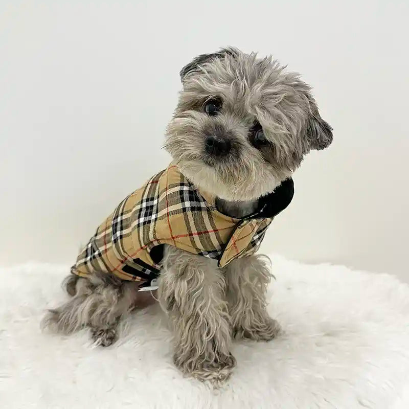 reversible plaid side of faux leather dog coat