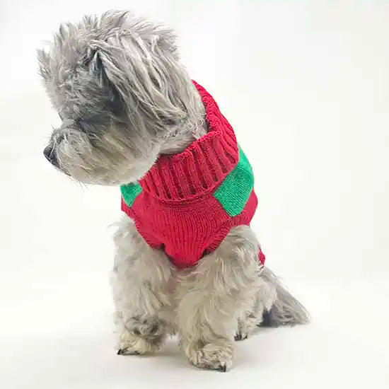 Dog Modeling Rudolph Holiday Dog Sweater