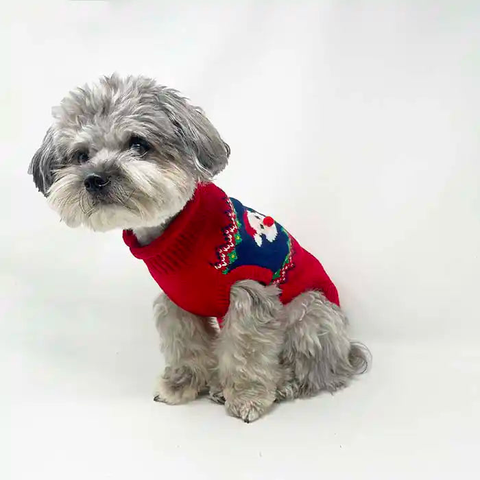 Dog Modeling Santa Faces Fair Isle Dog Sweater