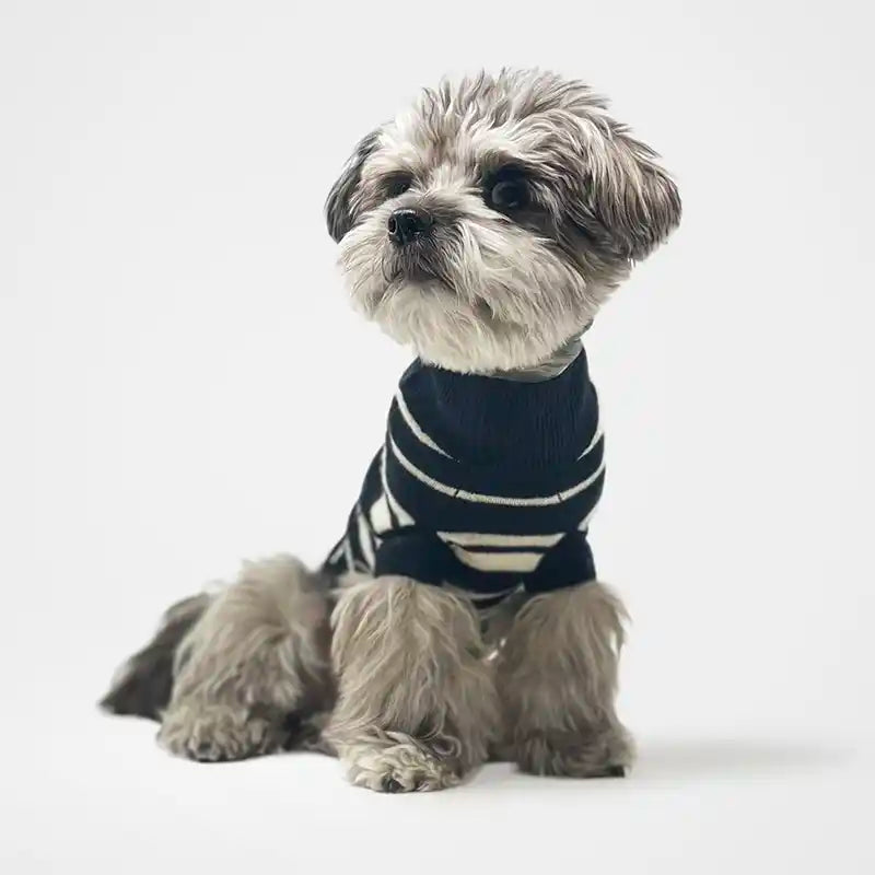 dog wearing striped black and white sweater