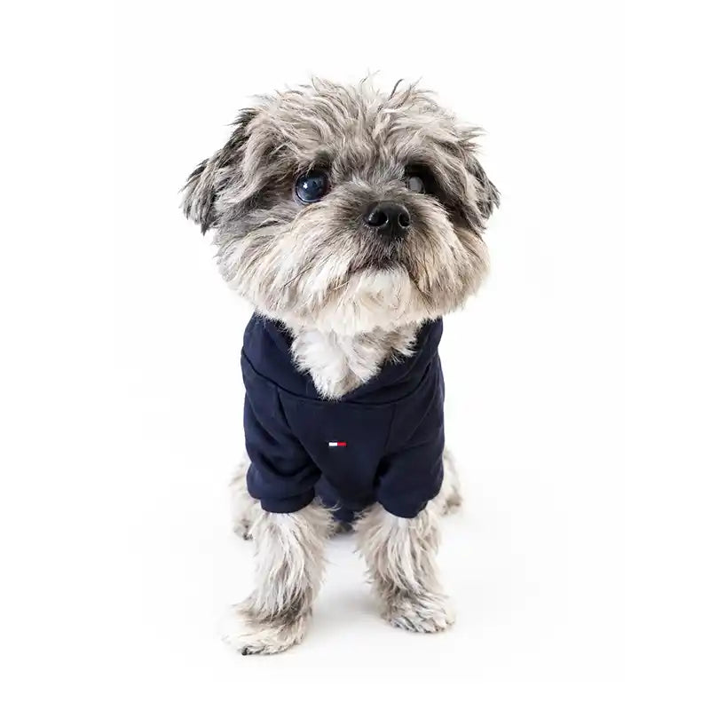 Tommy Hilfiger navy dog hoodie shown from the front with small chest logo