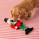 dog playing with nutcracker interactive dog toy