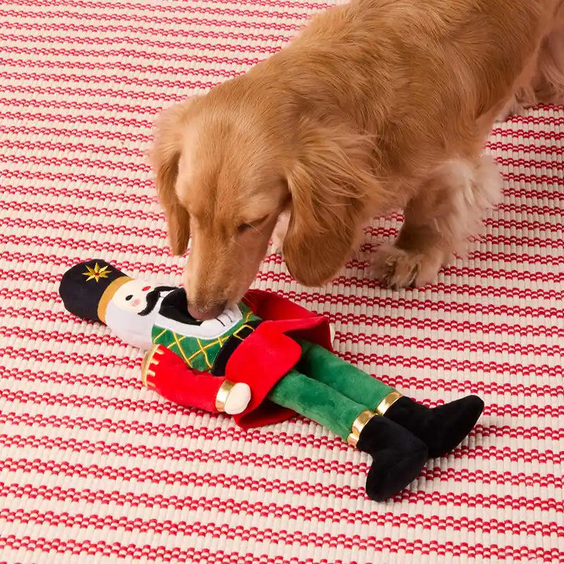 dog playing with nutcracker interactive dog toy