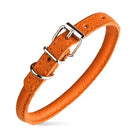 orange rolled leather dog collar