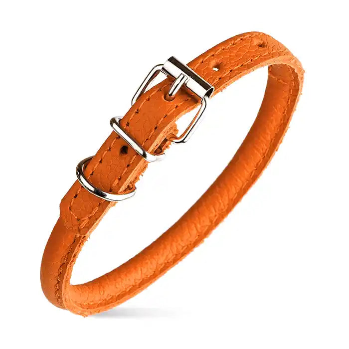 orange rolled leather dog collar