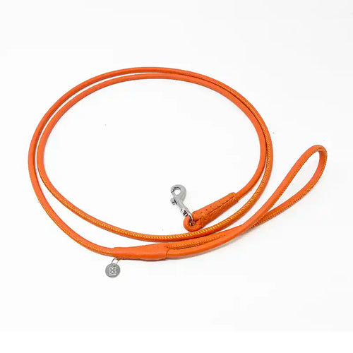 orange 6 foot long leash