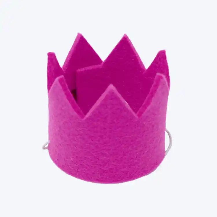 felt pink party dog crown
