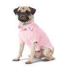 Pug wearing a pink polo shirt on a white background