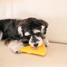 dog using pizza lick mat for pets