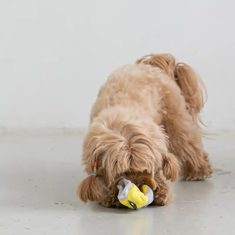 dog sniffing nosework sock toy