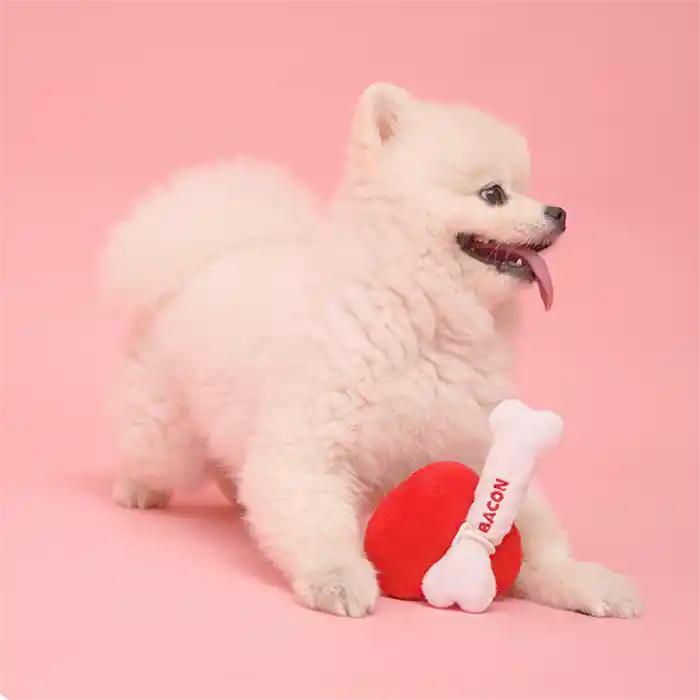 pomeranian with bone heart dog toy